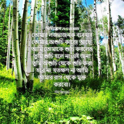 Picture 04 - যিহিষ্কেল 24:13 BENIRV - তোমার লজ্জাজনক - Bible Verse Picture