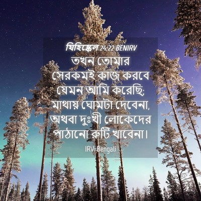 Picture 04 - যিহিষ্কেল 24:22 BENIRV - তখন তোমার সেরকমই - Bible Verse Picture