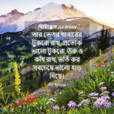 Picture 04 - যিহিষ্কেল 24:4 BENIRV - তার ভেতর খাবারের - Bible Verse Picture