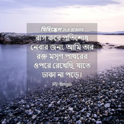 Picture 04 - যিহিষ্কেল 24:8 BENIRV - রাগ করে প্রতিশোধ - Bible Verse Picture