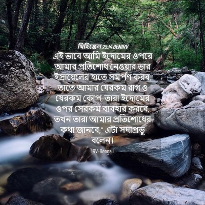 Picture 04 - যিহিষ্কেল 25:14 BENIRV - এই ভাবে আমি ইদোমের - Bible Verse Picture
