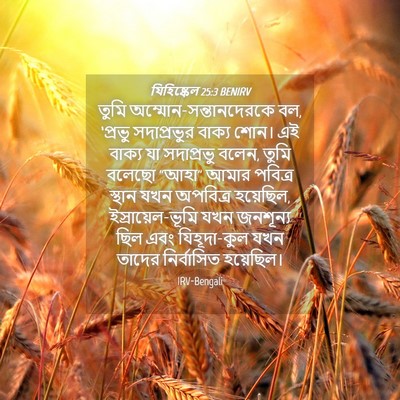 Picture 04 - যিহিষ্কেল 25:3 BENIRV - তুমি - Bible Verse Picture