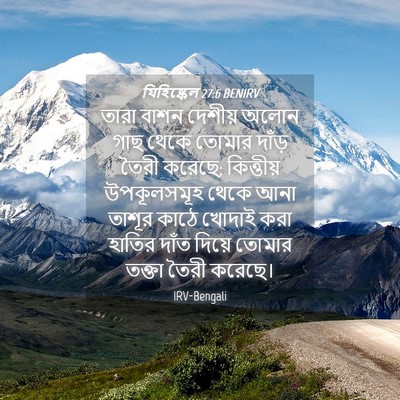 Picture 04 - যিহিষ্কেল 27:6 BENIRV - তারা বাশন দেশীয় - Bible Verse Picture