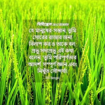 Picture 04 - যিহিষ্কেল 28:12 BENIRV - হে মানুষের-সন্তান, - Bible Verse Picture
