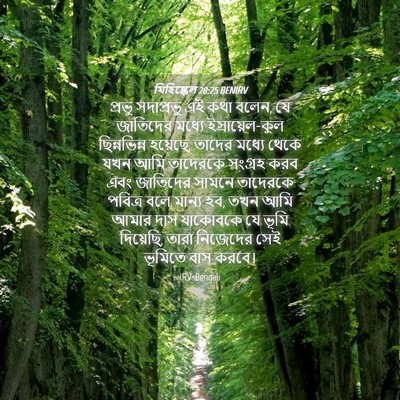 Picture 04 - যিহিষ্কেল 28:25 BENIRV - প্রভু সদাপ্রভু এই - Bible Verse Picture