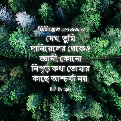 Picture 04 - যিহিষ্কেল 28:3 BENIRV - দেখ, তুমি - Bible Verse Picture