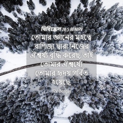Picture 04 - যিহিষ্কেল 28:5 BENIRV - তোমার জ্ঞানের - Bible Verse Picture