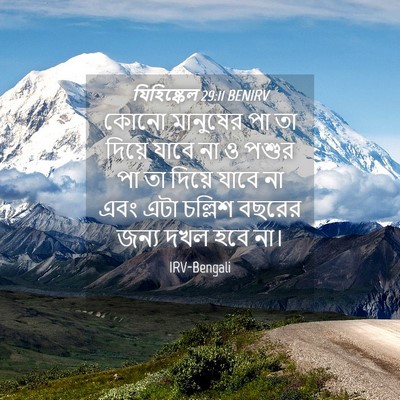 Picture 04 - যিহিষ্কেল 29:11 BENIRV - কোনো মানুষের পা তা - Bible Verse Picture