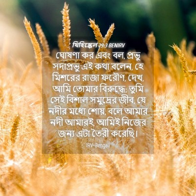 Picture 04 - যিহিষ্কেল 29:3 BENIRV - ঘোষণা কর এবং বল, - Bible Verse Picture