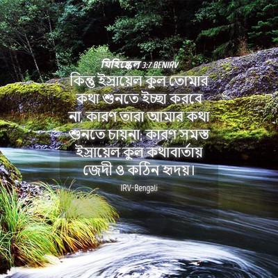 Picture 04 - যিহিষ্কেল 3:7 BENIRV - কিন্তু ইস্রায়েল - Bible Verse Picture