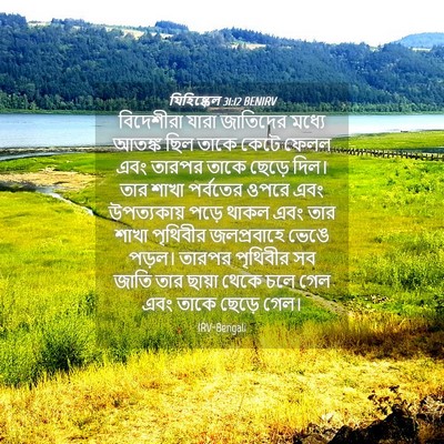 Picture 04 - যিহিষ্কেল 31:12 BENIRV - বিদেশীরা যারা - Bible Verse Picture