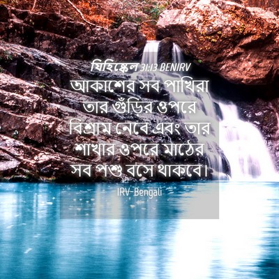 Picture 04 - যিহিষ্কেল 31:13 BENIRV - আকাশের সব পাখিরা - Bible Verse Picture