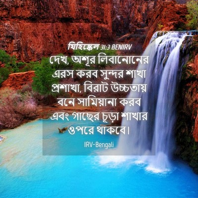 Picture 04 - যিহিষ্কেল 31:3 BENIRV - দেখ, অশূর - Bible Verse Picture