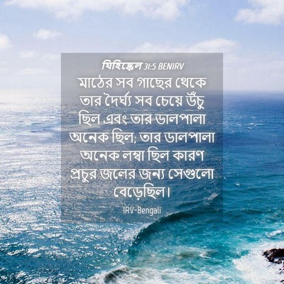 Picture 04 - যিহিষ্কেল 31:5 BENIRV - মাঠের সব গাছের - Bible Verse Picture