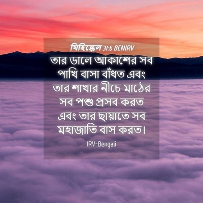Picture 04 - যিহিষ্কেল 31:6 BENIRV - তার ডালে আকাশের সব - Bible Verse Picture