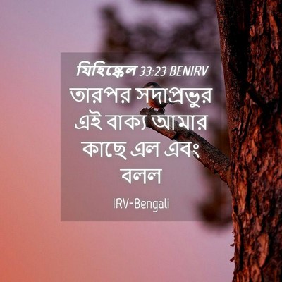 Picture 04 - যিহিষ্কেল 33:23 BENIRV - তারপর সদাপ্রভুর - Bible Verse Picture