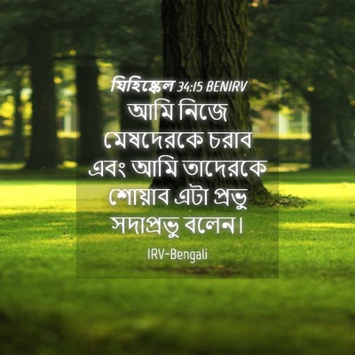 Picture 04 - যিহিষ্কেল 34:15 BENIRV - আমি নিজে মেষদেরকে - Bible Verse Picture