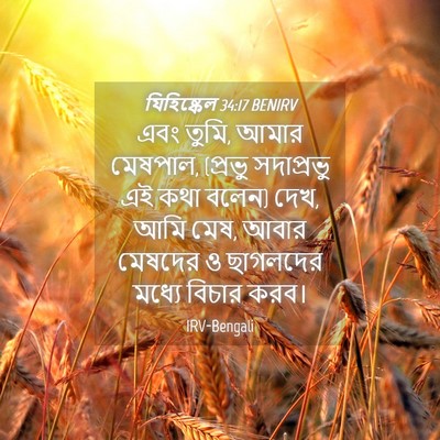 Picture 04 - যিহিষ্কেল 34:17 BENIRV - এবং তুমি, আমার - Bible Verse Picture