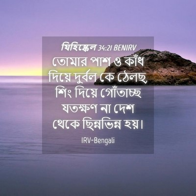 Picture 04 - যিহিষ্কেল 34:21 BENIRV - তোমার পাশ ও কাঁধ - Bible Verse Picture