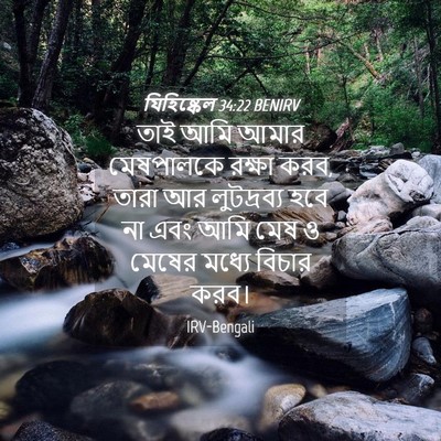 Picture 04 - যিহিষ্কেল 34:22 BENIRV - তাই আমি আমার - Bible Verse Picture