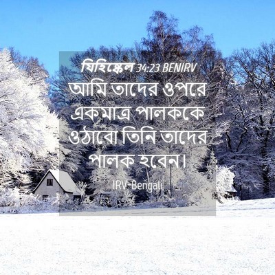 Picture 04 - যিহিষ্কেল 34:23 BENIRV - আমি তাদের ওপরে - Bible Verse Picture