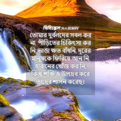 Picture 04 - যিহিষ্কেল 34:4 BENIRV - তোমার দুর্বলদের - Bible Verse Picture
