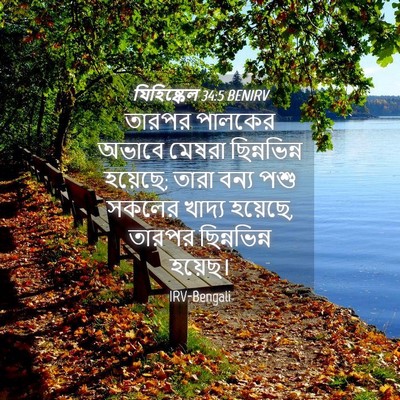 Picture 04 - যিহিষ্কেল 34:5 BENIRV - তারপর পালকের - Bible Verse Picture