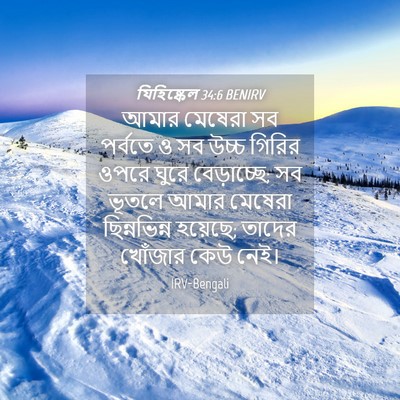 Picture 04 - যিহিষ্কেল 34:6 BENIRV - আমার মেষেরা সব - Bible Verse Picture