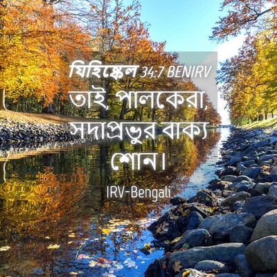 Picture 04 - যিহিষ্কেল 34:7 BENIRV - তাই, পালকেরা, - Bible Verse Picture