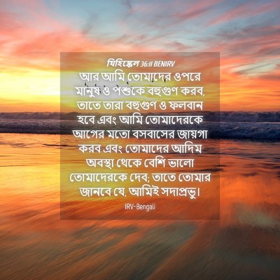 Picture 04 - যিহিষ্কেল 36:11 BENIRV - আর আমি তোমাদের - Bible Verse Picture
