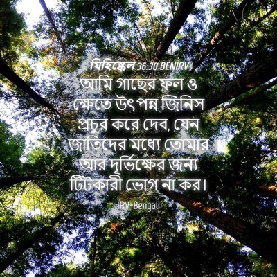Picture 04 - যিহিষ্কেল 36:30 BENIRV - আমি গাছের ফল ও - Bible Verse Picture