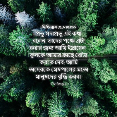 Picture 04 - যিহিষ্কেল 36:37 BENIRV - প্রভু সদাপ্রভু এই - Bible Verse Picture