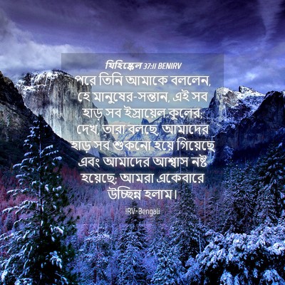 Picture 04 - যিহিষ্কেল 37:11 BENIRV - পরে তিনি আমাকে - Bible Verse Picture