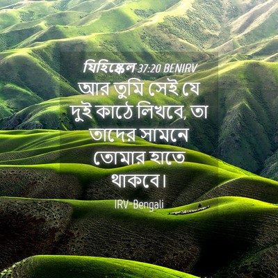 Picture 04 - যিহিষ্কেল 37:20 BENIRV - আর তুমি সেই যে দুই - Bible Verse Picture