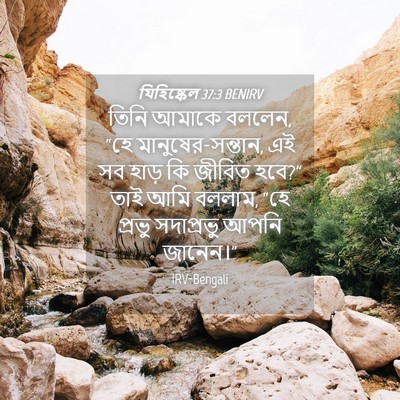 Picture 04 - যিহিষ্কেল 37:3 BENIRV - তিনি আমাকে বললেন, - Bible Verse Picture