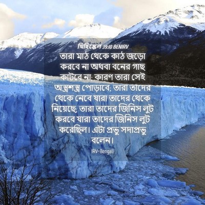 Picture 04 - যিহিষ্কেল 39:10 BENIRV - তারা মাঠ থেকে কাঠ - Bible Verse Picture