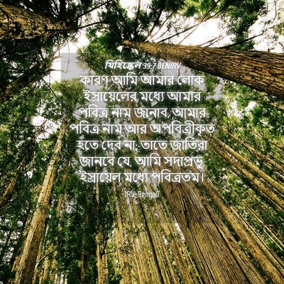 Picture 04 - যিহিষ্কেল 39:7 BENIRV - কারণ আমি আমার লোক - Bible Verse Picture