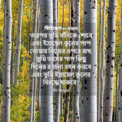 Picture 04 - যিহিষ্কেল 4:4 BENIRV - তারপর তুমি - Bible Verse Picture