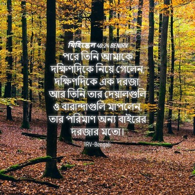 Picture 04 - যিহিষ্কেল 40:24 BENIRV - পরে তিনি আমাকে - Bible Verse Picture