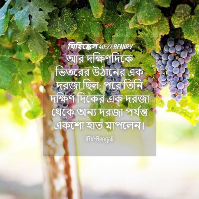 Picture 04 - যিহিষ্কেল 40:27 BENIRV - আর দক্ষিণদিকে - Bible Verse Picture