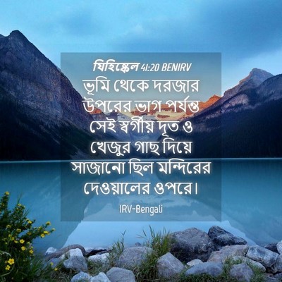 Picture 04 - যিহিষ্কেল 41:20 BENIRV - ভূমি থেকে দরজার - Bible Verse Picture