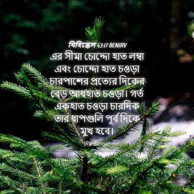 Picture 04 - যিহিষ্কেল 43:17 BENIRV - এর সীমা চোদ্দো হাত - Bible Verse Picture