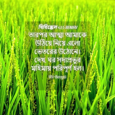 Picture 04 - যিহিষ্কেল 43:5 BENIRV - তারপর আত্মা আমাকে - Bible Verse Picture