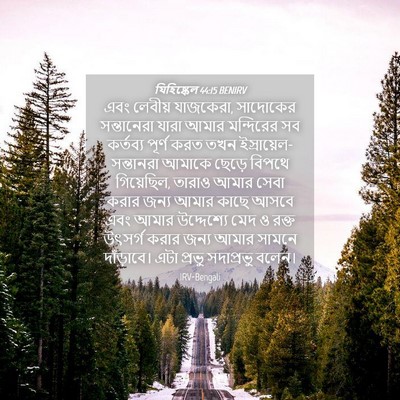 Picture 04 - যিহিষ্কেল 44:15 BENIRV - এবং লেবীয় - Bible Verse Picture