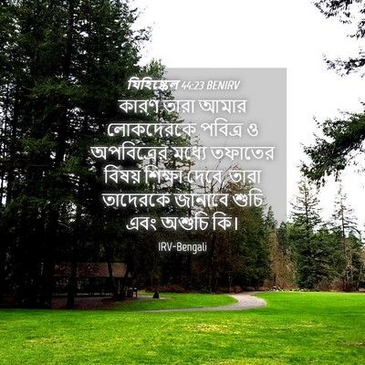 Picture 04 - যিহিষ্কেল 44:23 BENIRV - কারণ তারা আমার - Bible Verse Picture