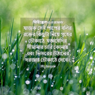 Picture 04 - যিহিষ্কেল 45:19 BENIRV - যাজক সেই পাপের - Bible Verse Picture