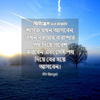 Picture 04 - যিহিষ্কেল 46:8 BENIRV - শাসক যখন আসবেন, তখন - Bible Verse Picture