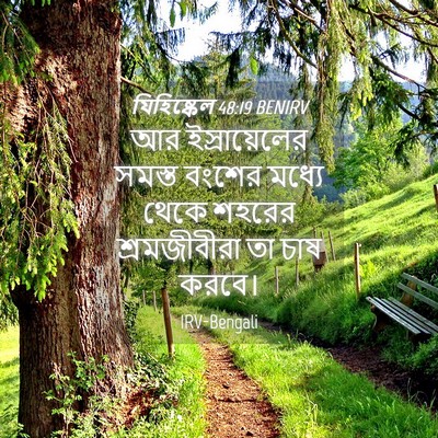 Picture 04 - যিহিষ্কেল 48:19 BENIRV - আর ইস্রায়েলের - Bible Verse Picture