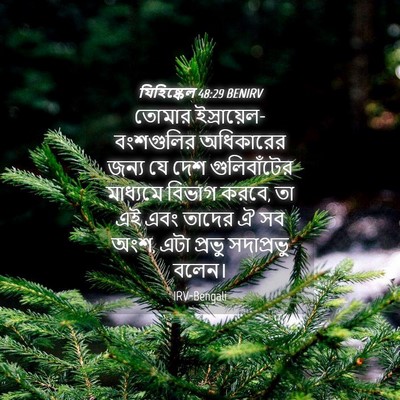 Picture 04 - যিহিষ্কেল 48:29 BENIRV - তোমার - Bible Verse Picture