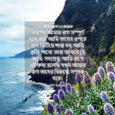 Picture 04 - যিহিষ্কেল 5:13 BENIRV - তারপর আমার রাগ - Bible Verse Picture